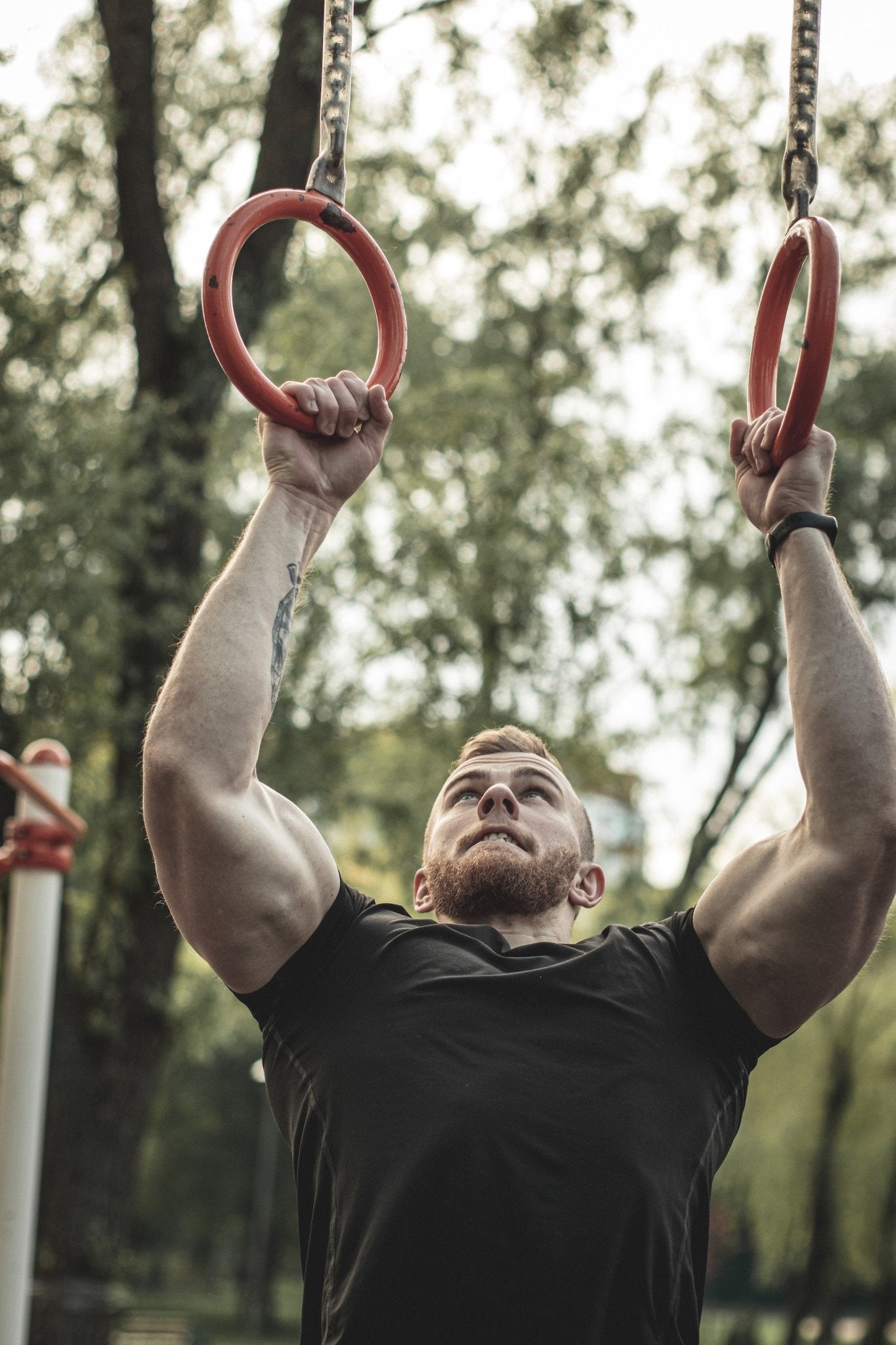 Effective Grip Strength Exercises: Building a Solid Foundation - Great Ape Grips